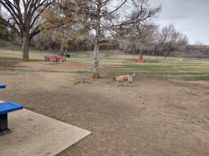 AC9h4nrrEP9koeZTmP0908 f8Q  25Z2qh0c6hw8JZiudsbp2YnY5XlHZZJ1cQGM yF6BrpYcAZ4uCvFxpn cCMft1hQNoukDNFy29dBGwSaDeNdUWRrmTt5VW2NuOzgIaDzyogXrfSOw1600 h1000 k no