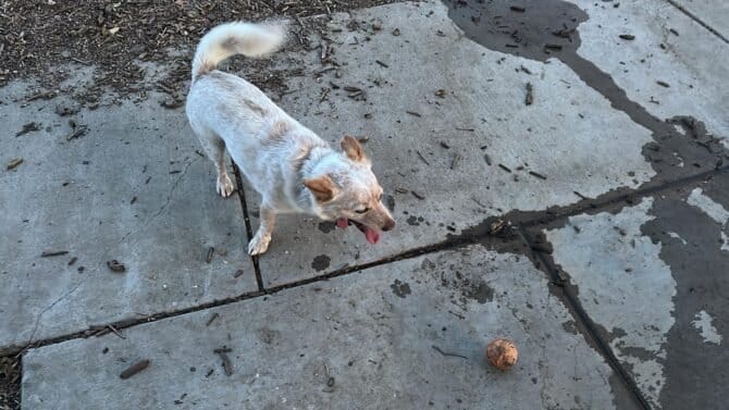 AC9h4nrrLflUozLggSi1cjNb0nTRUlMZrtyzCImIwHPBR0JJWz8ghTUvExZsEbl4XR7bEjdEfKFPTcBlUhJ5ilHjlf0Man4uIWKogyuMuFJgQUaeBZo07awSKz6Co2z7Hn4 Td8IVwej4yl WJYDw1600 h1000 k no