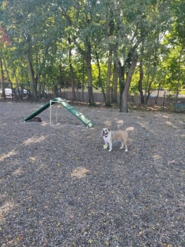 AC9h4nrrXLo6ShE1DJ8M l3jviphTdmNU1 t3JC1eSJZcKVua W1Vy5RlpWp6y0 ONoka NcJHqMtn75Y9V4cMyQnzGt06lX51IxQyuVKvM8mQVpYCap3xIIFas fQGicmCbnqE6IdJHw1600 h1000 k no