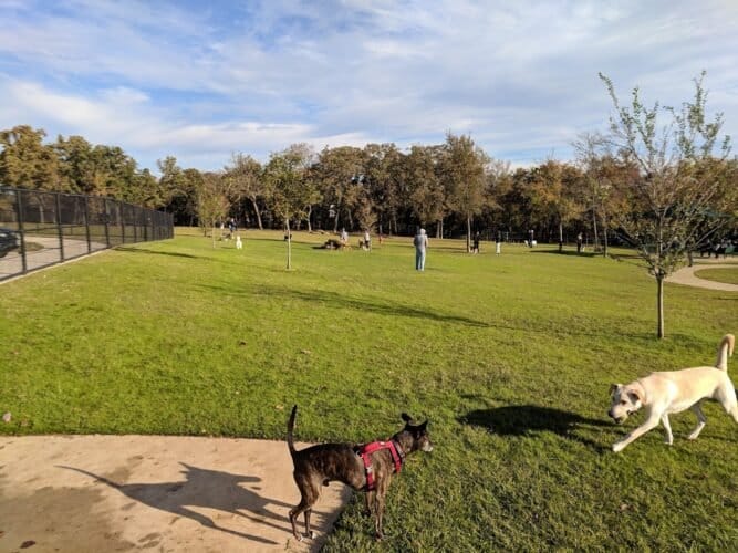 AC9h4nrreCNwsxL92dKX 98DeMz6dBPOnah1mjA213SPrEW15y2wVLsVL0cFJDd3Hv1dwHx4fFerJuTNoCO4EsxfmK3HKbezk2hndEiSlsiykp8NQDBmmT 5D77Sbp3Wl6peQFHr4lVdw1600 h1000 k no