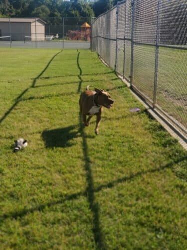 AC9h4nrrsoaJCQDKho3byqknUBI4uRB VyK3TDv5Y63KB2jGX1uCXbGbF5  p9qIHftw42HwgtE7zPJJerRkXiVNw0eS6VAOUVm3aiKo zTgbK  Oqqt YTJ3S9rXQ 8BetfovXfqXAw1600 h1000 k no