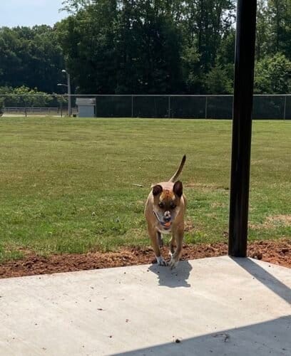 AC9h4nrs 3YqrqSVV5vv9T9KNzwk1WuUegOu4opRWa4P18AA2wzfIJ8GUmPAJn4orVNitbl31U1QHV5PsUPxp0AHjlPUV8ocx 9IwkaEdl1k M0ys x86Jhx BZJYPgGP5jsvYbDp4kw1600 h1000 k no