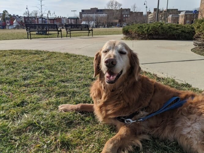 AC9h4nrs6tzWgroY9Kd egfhqCyATCZ3MlwsxP9DQinIPOj8Ox9Hehg2Kj3rj pN1MI7dPG47515JFGZwxAis4 7zP6cgAOrGykTTcl5s8O21Wlderjdm1AOqsBa3UudPuGZgMqomyXqw1600 h1000 k no