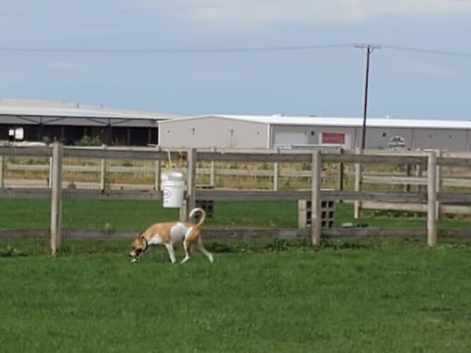 AC9h4nrs7GD2H33J5JnsWL8iD50OZpg4B4h3L4yOVy1F6tTtLuCTlU4eYR6z65KqWS3NmlVVy Y4o7dphSmlhNq69XEph02nN8eDlpSO9nkw1600 h1000 k no