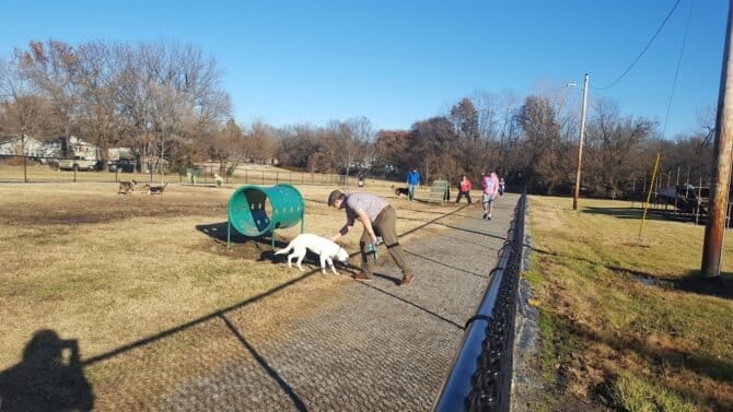 AC9h4nrsDYYwhHxrJT5ulAkJbtqNyvFCyKB gcGEItF1C59SxRqxNhdYNTa Oe4dRP82r130D1ogdch8tJDqHf7aKfkkyULvOYx59t0vRO el2lJI9RI rbJ1K0kE6v hEukOwshkMV1w1600 h1000 k no