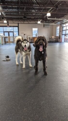 AC9h4nrsLB2FmAVbgaJIrlieOb8wiqEnP7F4Qlh6qwk69AjJE6HxPE3FOBOYCtIIDW wdgokJ74T41NCna4WrqF5LCSH1gNDsanspmBz7Qw1600 h1000 k no