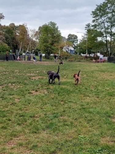 AC9h4nrsViqZCyy3xWkl67c WIiFP62gQXRqqZ7EUf54ugix glE YdFiX34DWBovKU WTC z55iW m9t7R nNIbqlf79f38t JoxjilCxHc2g4XlZfRmP ccsuG9eOqAhkCVrbgZrN7w1600 h1000 k no