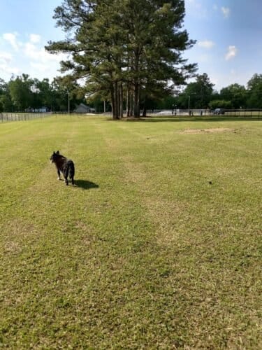 AC9h4nrss iiuQ2gWP2wQ3NHxalNawWWdfwqDdcLU8zQgRZhU2J 4uWx2hKoMbVBrm4x9pVnB1fESb0sF8awVTrD7mR7ppUAwV6alPxIw1600 h1000 k no