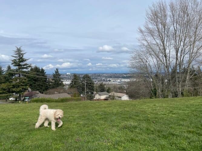 AC9h4nrsuzoc1XnYw rnObNiuiUtBPnJ5YsyZKTPFqU3D6sDcuS2W4BrU6fsq guzSa7rPdqjQzl3GG e uph2VPosoqySBs7eX F5u6iRHrIqpm4EPz7NOaLffKmmamlngfLl7vXF8jw1600 h1000 k no