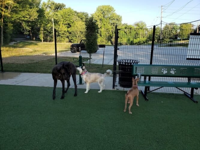 AC9h4nrsxEB Fu0zxMMnYIrvmDYme4T9misgnHObJdBSbX3PJjKzKgwk3HwVUbzrS Gj5R SENXMDdq4 f5zn2j92ShzWrNvBVs9ZCdcurTLUGTSo7uP16J4 DrTX7DntqrhdTRmC1nRw1600 h1000 k no