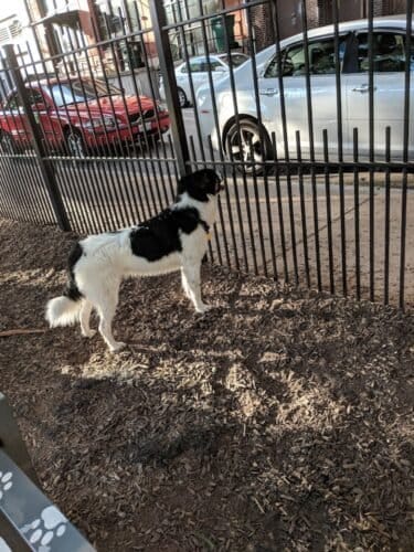 AC9h4nrszUGiK jKg0U1LBO43egR4ZomPlZjlmyNDp08VGJw TeNX75t0KVCzurzZoYJrymxe6g3wuq5O7AbWfKCO0rSereqiIxob2pl1E8ogFQ4iFYwdWcjbculY9DWTF9BfA4H4bxV9Qw1600 h1000 k no