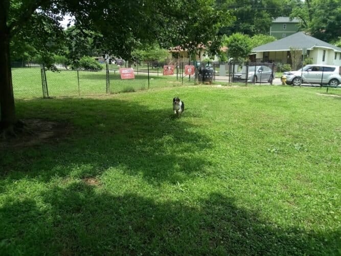 AC9h4nrt1S1YvxCBqRKOHgvY0IEoCJodXGN4pM4R8drKmD9sBad9nd4F3YkzEMwp4gsPKpvbJTMjy0wMSxae C4BG2WWRGrh5fumCeHUpvxkZK pW2uOJ2qMlCA8QFW5aFtX2TQMrv1jgww1600 h1000 k no