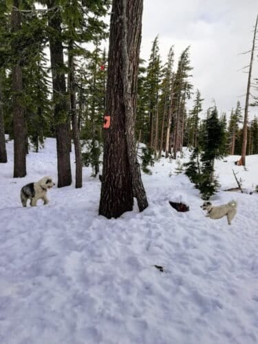 AC9h4nrtF312nxp5Zu3 ZfqFZ D8GqlA94VB vW7fuY6hTvDiVwI3xsT3yoOo6b12 IM9u2yqMHY0fTK7pBhHfLsCmcCYqqJJjaW02SSN3Bc5EMY67D6DvLu9sNK1B62tm ZMh9iqZww1600 h1000 k no