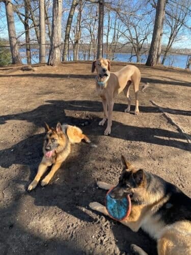 AC9h4nrtZBGOKWAgbLOw82V7XLpwtRL0zUhxWEw9nMohBMhD0lZBjkHbszyZwyvBWQd G6sUkKLm8cI5TFI1e3rIieUgcriT0ANPNR1HKV0frvwh3osLlggWrn8412LitgyBCs33j7L7Zgw1600 h1000 k no