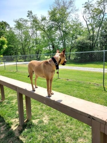 AC9h4nrtbddjUCCFJaym1A1aKjijIFR0v0zoul  9ddeycBY2ynBwgACzjve  ookaKHKDu VEDEaynFPafr14uk0n98IIAMKFihe Pv7Ok9HuyhJua2MZf9p XiJda8DjeYEGvnC1Ktw1600 h1000 k no