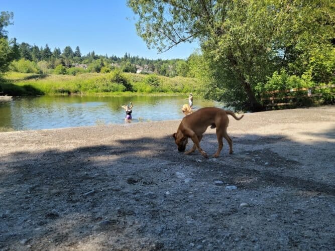 AC9h4nrtiZb ozF3ycx7sqZAU 4ILGu2KB9YUp6SeR6FhKH2hHuK9l1ogbYG iTwcLtciJahhtU9gFUaA lkBbtv7zKVBLsINbWYIfikNPnVSffPuJ9mWj2Q AyqscXxHvkHyjb8t7zUw1600 h1000 k no