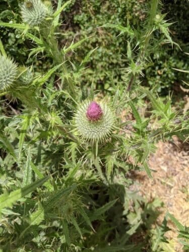 AC9h4nrtkH5 RPfnrfTolTcNDhtra9AexJJHCc32Qy7fuSzTiKOsLx cpddR1xDw98OGTQh srwGTiOOJCanNi7pfIaGmrU3kpMh nWxxk22osofiSFoPe6yeD C hyF96AktpxCQjX3KAw1600 h1000 k no