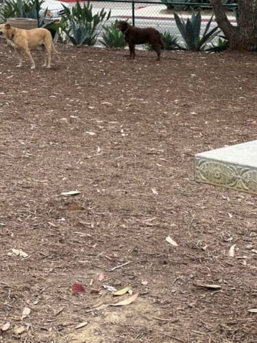 AC9h4nrtmYvZpHJwEBFH2qv8tPtBp5vSV8mXh86aA 9G8t0xOELOGyZCOHhF6uaEFFX8xiLstB33T6 xUFCZW2eUN4JjwomZrh3MiUBwv4mg7E36ltebSZpjaQkqkfCPIoDHvqzoJo5VNAw1600 h1000 k no