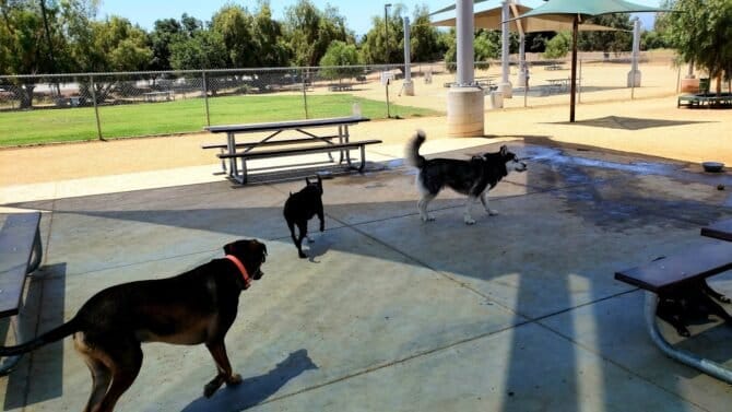 AC9h4nrtrnWlF5vIpxvSUma7LBDrWBRqCMIxWvuAkxTW6564 lJGZTrRg29CeSQd52espc7I5bCiYV0nM5V76fK9J2aX4sw b24muWorsw pjZIIerFkrDMycPPq0h8fNvclUJtddF4w1600 h1000 k no