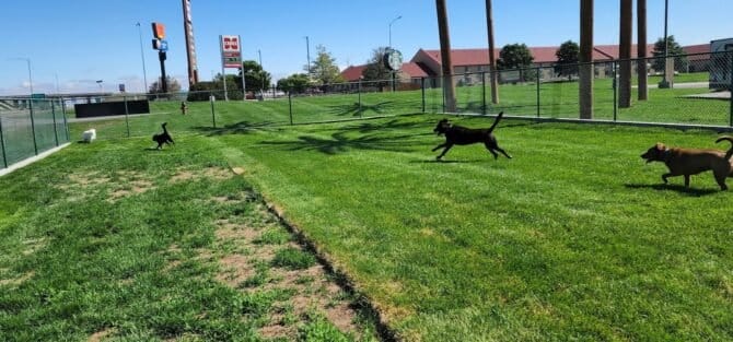 AC9h4nru1vB3oFaBffC21Mm0tN19P8WGg2pP sZy1b7A6B7irP5HLlfvzvUrRxuVREs8InJNsq BvEWt3WqIXZ38k0T gxXHuhd8F8IrS24AOVeF4SDNFQv T7T2uAoQaT0Y5zlpxFQghgw1600 h1000 k no