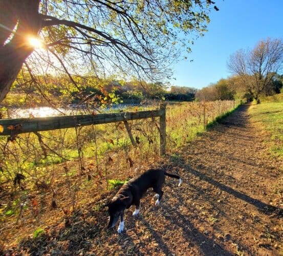 AC9h4nruCI3W04sJJq4u7Cq4LJ Lr8Fkr43PTdTF0TwIIChbEGw2dZ5CIoXnWWHuQtPFKQAaQRBnVGycG2AFMFOhPWb1RM5Wc7Vwi4ejMUVGM36yIGRXEmXZYkvFuPJV0oTKdHf7mw95XQw1600 h1000 k no