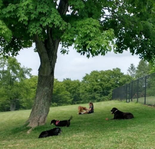 AC9h4nruEELmYW3rM0ZGbEfp0rLJXFP4SVK DNgXWpJT DERzZos0EbJ7q3imjfBxMheMclbQ59Qc9FoZU6U6sThlacsM7GB9xIrehAhCpwyYfFxNxDVHWMus2Bt5pPc066mej925d42w1600 h1000 k no