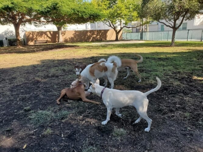 AC9h4nruFFexuByE85vU g4cwGUU jCDJWvOk2ht62dRrEFyqTuvJa2lgjWjZ3dCFVgdnJnWlcLbOie7VcOY5hbD0Pi4g2KZcbvglehtA42avj2UyEdpucXA8offQQ1SVwOGev8FGDyD8ww1600 h1000 k no