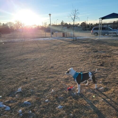 AC9h4nruKJwp0ycQVQJAsoRFYg6oqkgxLhSryVuvxrgAjjJHv9Y1qqg7ndT2tWUnV2yvVZV8gRMpVLgG5IMltfmS9G5n57mCM4xRbx7sM1jh1jOr9 OHv jbOK2dKVLZ0LQH7SFluLbCw1600 h1000 k no