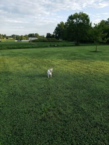 AC9h4nruMakuAp77WFwJYLcs8l1hoYFb4je80 OeBMz575 VK5QC Kg1ZImwvrRjHT6W3SNiQn4kulDZf wGjUDfCFGkuSeMyO2Rum73u1CMUO1l9Q2x7GS kwBKokBH0EK4s3e9NOUw1600 h1000 k no