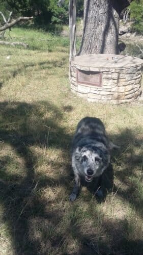 AC9h4nruQlgxijbn2gootw6 cPC1DftRq9My0zutg6TlFYJlicTzwooWheLgUJPrBJ9r9MQDEYDMSyfk0cbsvv4I3nyIL3t PlPu5Dpj 6QKbOWSQYMlRFYY6g5n5Bp2wTIqkHjSMejG5Qw1600 h1000 k no