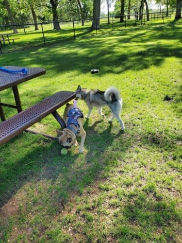 AC9h4nruTt7TPF0obvkvevHIU2Fbsf3dfaZ4i d0Y68s 2gel7axT5Iv4ICXNNbvtC05UjsHm3XYAdYwoyi4yAHKVaB76b pKFD8AVP1 dorJ IPnan9KXVni8jfN2zO05IzWNRrRB0pw1600 h1000 k no