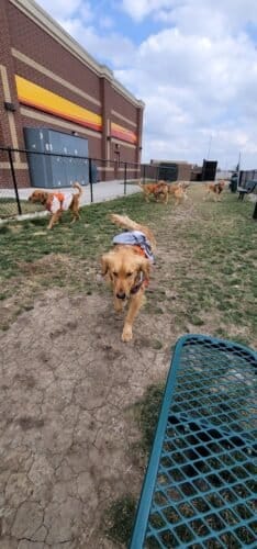 AC9h4nrub8EhHJU2UPLVHVXUc51ExzmvxWXajoNU9l7iEAVG6h1zyS3lkVqR9Ea A6XNPpdXLmfKo m9kkIxRIeZrg8GCdhlS94qqtpuljyJ1 gfONE7yxfxONpQD2PF8om1tmHGAK8dw1600 h1000 k no