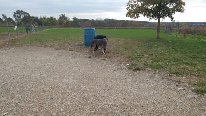 AC9h4nruhcOLL1mgeVM9fDAVYYFl1rl2vhE5ck1f9Huvq2zo5g7bi5fgb7o6lbWvR4x ug1K4lzjdpoNwaKIVnzQxujhbDY6wmfxRtDlI2sw1600 h1000 k no