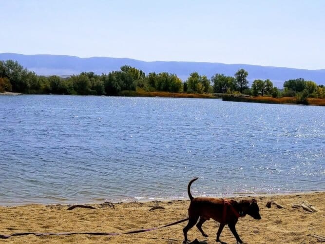 AC9h4nrukh7x peJfM2thKLQTiFedRtZlw91R sA5X4LBuKpNke9CTJ4weUEDxJD0LqgV4DCWNqWY0n73b0IZhiM9tOoetC4znocaZqFX943wLPVzA8twdaFV35RiomxD5Apzkdd7zww1600 h1000 k no