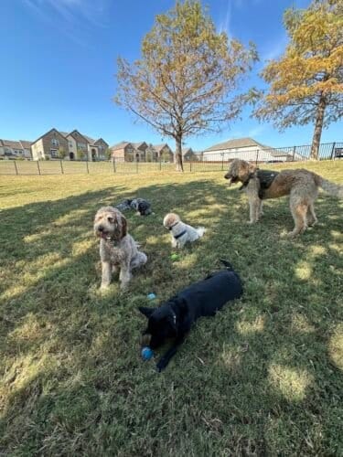 AC9h4nruqvUSUuRCbWncGVBkHoWLZCfIJUKWycTvLLsZEar0EX FYASulzUBFIOV8O3kBRaq6SzpnqYzJhaSrdRW2GkajG3FRHil96jf70e qFyyYgUcd fHB13mYXCWGSadb4vQCdln7Qw1600 h1000 k no