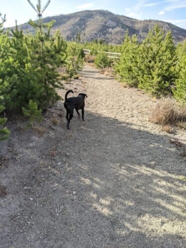 AC9h4nruseqeNsuf6 Vct5iDQKjpJp UijH7 4TrFyrOiBSRGIJKeR9oLc5c8HKFmPUDnIhhRXnPd7u1A4ookVrtMN1yRiPDpQ2F3BmSt8UTTK1aORbJtrXpe6wp6wicfWhMDhLTTMD w1600 h1000 k no