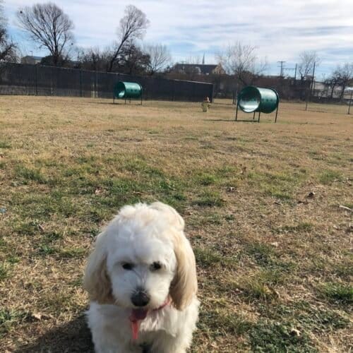 AC9h4nrvAtl8SI3DnNdr1NjJrxG NB2OmfAqnEmWhZw9DfPgWubn3DG3JjPdqhuS4dUm4TVouxT2VbeFI1ZQ7DypJHFXW6HSJFnLDhBjl8sqEfF63UADP2d7LMSlWHH2iWRt bYH27bMqQw1600 h1000 k no