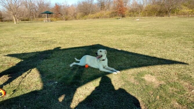 AC9h4nrvFXxIZ qqiZ rRIwr4E3LdmDT7Uiy2RhCRpKLA7s9Sk8aiRu puFVoZFC9iTdi8ExmUdyPY73p5lmN7FotE5cl8 rQa0OC f6DfAw1600 h1000 k no