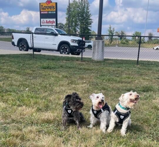 AC9h4nrvH K7eSYQTM8Ixq7U5CfPyFVMigEKJjqH nP ujq33a0bHklzUc0mvjOOln6ujMB4guP802iYbGdpgY f 2JLs3U9sgBqxJAfwJTqUo9NCBe 0U BH3DGDSpPeYANjy2vgYMw1600 h1000 k no