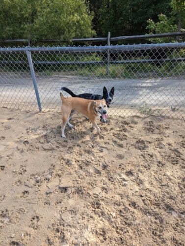 AC9h4nrvOn4MhNHj9XPAzM0ZpuwbOcRptEb1M qcJ5UMBGliNSC6XEtSJlWQjQNXAFld2tA wvnn5KRXrHJ3f45ppisfjY6paV 7SO4gZLo2jqJn23kTmKy4d5KswwYAtWMoErL ROQw1600 h1000 k no