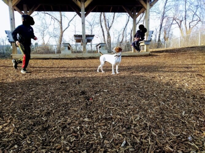 AC9h4nrvSETZxJ9EOtWxVMkh738 GQFFQqJNmsdOB p0ijangRZCJbaboWEcUvDA3jsHVClUxEcw3UfTY33R o5f GNlMn8GF86396CvTavI3 hN4o2RmnoYSSBQ I5rT37ySh5nDMCLw1600 h1000 k no