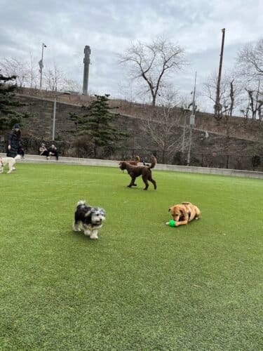 AC9h4nrvS ds4k0N6Zn2YarFDOFFoBKPDOXu4excvEnHDiEs5wRGrVq vX7fjXrwRElbGnWkEgqNCpnIXlxhx5RslKadceOqKb9O AYwh2pTYMqAdahFsx YHONfrzkjYW 7qMViEy0w1600 h1000 k no