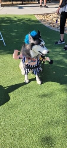 AC9h4nrvahJoqhTmazde1F 84rtWSDB0hrEI lGeggRCHDkOGrTEET5FIBx7LEr 07s 88lZ3aAHB4Q1Upx3gTVEPHU5w7Z972XsyNw0p9ziqmzr6Jje6jX2wsIoPzrUm8XSmnWd0aJow1600 h1000 k no