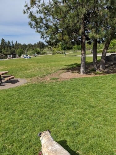 AC9h4nrw1qqyttIiwQPcRy zdft1VV cKnbDx7YkJi7i0PImSnlxapMEtrhsi4fkRZavr7E4pXbYISTZPVeHy2kbVvaCKsfSG0djipIYCGmFQFncMKYaUfsCVsJpktGYQuXnwINhXhvZw1600 h1000 k no