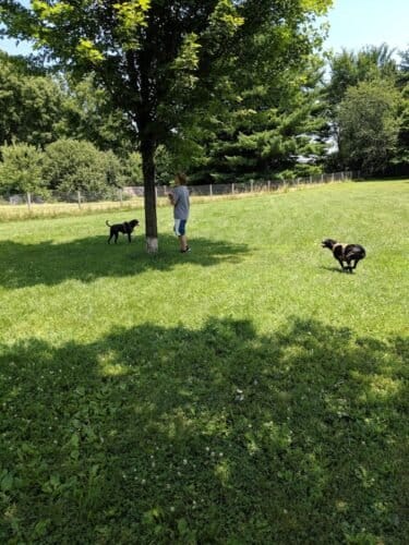 AC9h4nrw82SrJVLTBO1E3ntxohdF1i1Nk7EUyuPi02JUHTJ2jhRybQfcD2PfwqVwmaHOh GiMImIOmWcHmRfIzPPzcO1G6mAi5p1Ql3FY3Qw1600 h1000 k no