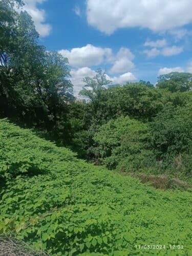 AC9h4nrwBKIeV5U976Q9B1ldZVBKTg8Q9q6xobsd2BPDrsX21ZGci2hgT8S6jvNwVjDYUMZJvivA94ZzYB3KeZVDjtmtinakLFN Af0irbMgzBHU8XkhzubgGd0nzHTOkEFD6IN S8qjkQw1600 h1000 k no