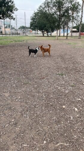 AC9h4nrwKjkL49g7EelgcLMpSaNEqXRRgkxdpugv3hizM soQLYTDe1kIAG2xkM19junVkw0qssDZgbFDPX66 ROWI6GBfHaSr9lM4Lt7RlpNg1koRWTO8a22Hkkpc8y6o844XWSrNUsw1600 h1000 k no