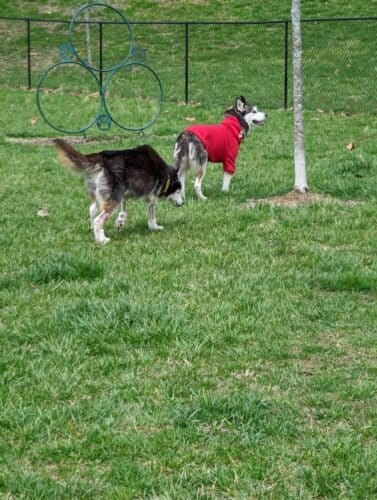 AC9h4nrwNTo8zI3qsQ9jd xa rsV9LoNGfYEV3oOGun4Gq1PGaPrH7iI1AZ2ajckZVtZ8GeZrCBKcN6yqdU0fQehwKjkOTB WiFo OvZI1zvY3qU GdQJhPbbcbOo3lTtBRTYfuMhQ8uyQw1600 h1000 k no