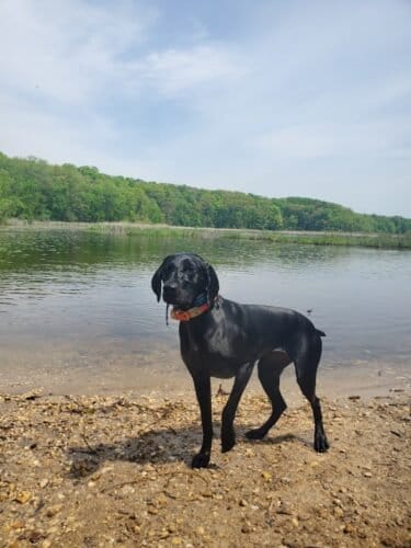 AC9h4nrwTEzArpE3hslSBEduwQr3Qv5KF2hxYihIh 3DWODTX8ZjqHN 6HuMp 6K2lfvXgJVhw0xRQzeQuZhsPta9 kb9WVFrQx2cTXqkbjBrRHJhqeZckDdNWC KXWuYBWbBBx5V0Iw1600 h1000 k no