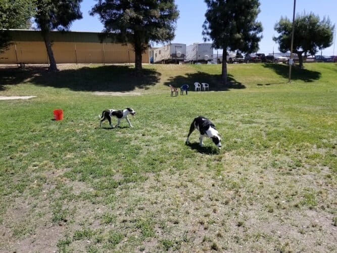 AC9h4nrwV20beolwm8Z pheRizOg2d6aQ2jy2pMdu2b7eDjeJR8wjsLdmwK9yyJ13cahdSvjp6WTIUpZb2GLZ9SmbV1G9M kcR Gr4J4kn4K87C8qY4Z1secl7Al4wtNV okV0cTGiAKww1600 h1000 k no